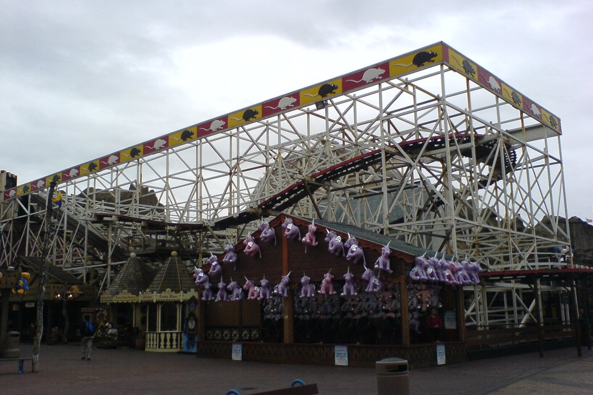 Wild Mouse